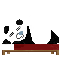 Pet sleeping during a break
