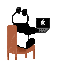 Pet working at a computer